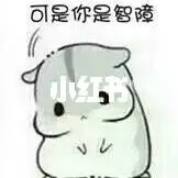 banner instagram 3 slot Saat mereka melihat Rong Xian, ekspresi bingung mereka